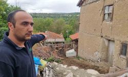 Kurtların saldırısında 11 koyun telef oldu