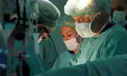 Akdeniz'de 6 bin 772 organ nakli yapıldı