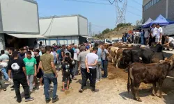 Yurttan 'Kurban Bayramı' Manzaraları