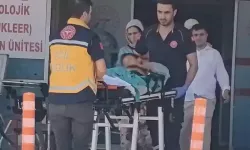 Kurban kesilen bahçede bıçağın üzerine düşen Çınar ağır yaralandı