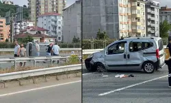 2 kardeşin öldüğü kazaya arı paniği neden olmuş