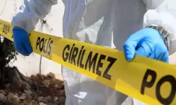 'Koyun otlatma' kavgası: 1 ölü, 5 yaralı
