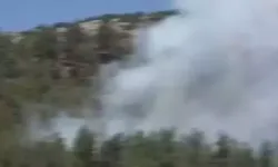 Nurdağı'nda orman yangını