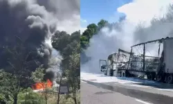 TIR'daki yangın ormana sıçradı; 10 dönüm alan zarar gördü