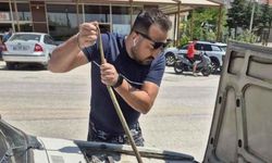 Aracın motoruna giren yılanı elindeki sopayla çıkardı