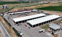 Kahramanmaraş Canlı Hayvan Borsası’nda Hazırlıklar Tamamlandı