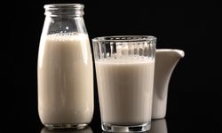 Çiğ süt üreticisine 5 yılda dev destek