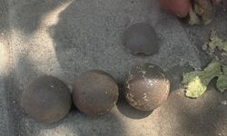 Kurbanlık koyunun midesinden 5 gizemli cisim çıktı