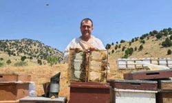 Kahramanmaraş’ta üretilen ballar 20 Ağustos’tan sonra sofralarda