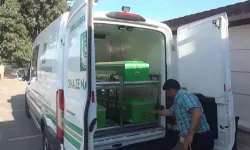 Otomobilin çarptığı 4 yaşındaki Ali, hayatını kaybetti