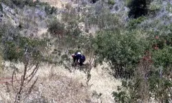 Kayıp olarak aranırken uçurumda yaralı bulundu
