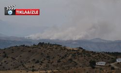 Kahramanmaraş’ta orman yangını