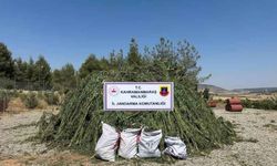 Kahramanmaraş’ta zehir tacirleri jandarmayı atlatamadı