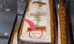 Dondurma firması yasaları çiğniyor, il müdürlüğü sessiz kalıyor