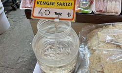 Kahramanmaraş’ın saklı şifası: Kenger Sakızı