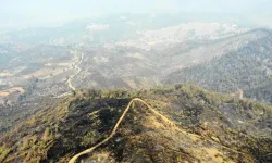 Kahramanmaraş orman yangınında kaç ev hasar aldı?