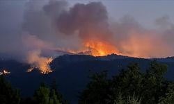 Orman yangınına müdahale eden 10 kişi şehit oldu