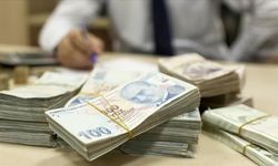 Çiftçilere 1,7 milyar liralık destekleme ödemesi bugün yapılacak