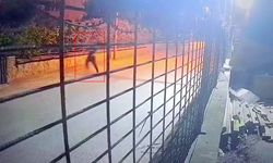 Silahla taksiciyi öldüren şüpheli kamerada