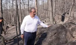 Destici: Ormanlarımızı yakanlar ifşa edilsin