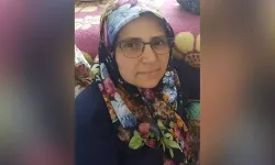 Sokak köpeklerinden kaçmak isterken otomobilin çarptığı kadın öldü