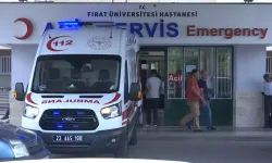 Kaçan eşeğin yuları boynuna dolanan 7 yaşındaki Meryem öldü