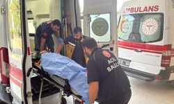Minibüs uçuruma yuvarlandı: 3 ölü, 4'ü ağır 18 yaralı