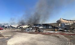 Türkoğlu'nda fabrika yangını çıktı
