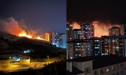 Kahramanmaraş'ta otluk alanda yangın