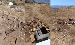 Kahramanmaraş’ta ayı saldırısı: 10 kovan yok oldu, 100 bin TL zarar