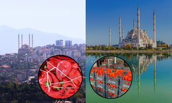 Salçalık ürünler Kahramanmaraş’ta pahalı, Adana’da ucuz