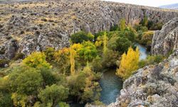 Kahramanmaraş’ta doğaseverlerin uğrak noktası