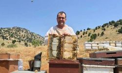 Kahramanmaraş Yaylalarında Bal Hasadı Devam Ediyor