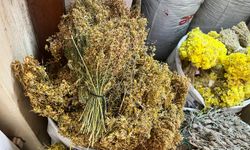 Kahramanmaraş’ın şifa hazinesi
