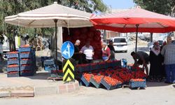 Kışın tadı yazdan hazırlanıyor, salça telaşı başladı