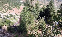 Otomobil uçuruma yuvarlandı: 2 ölü