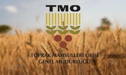 TMO'nun ithalat yoluyla tarım ürünleri almasına ilişkin usul ve esaslar belirlendi