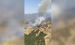 Aydın'da ziraat alanında çıkan yangına müdahale ediliyor