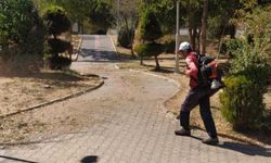 Parklar Temizleniyor, Doğa Yeniden Nefes Alıyor