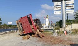 Lastiği patlayan tomruk yüklü kamyon devrildi