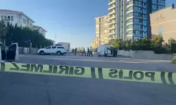 Sarımsak sattığı aracında başından vurularak öldürüldü