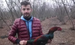 Fabrikada duvar ile çelik boru arasına sıkışan işçi öldü
