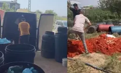 Salça denetimi; 6 ton domates posası imha edildi
