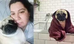 Sahibinin tatile çıkarken pet otele bıraktığı ‘Alf’ öldü