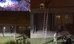 Konseri izlemek için çıktığı çatıdan atıldı, savcılık soruşturma başlattı