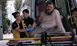 Park ettiği aracından indiği sırada yolcu minibüsü çarptı