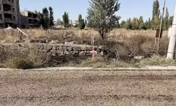 Evinin önündeki ot yangınında yaşamını yitirdi