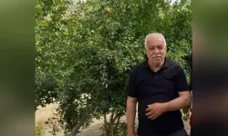 Ceviz toplamak için çıktığı ağaçtan düşen muhtar öldü