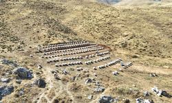 Nurhak’ın Tahtalı Yaylası’nda bal sağımı
