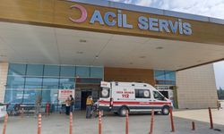 Düğün yemeği zehir oldu